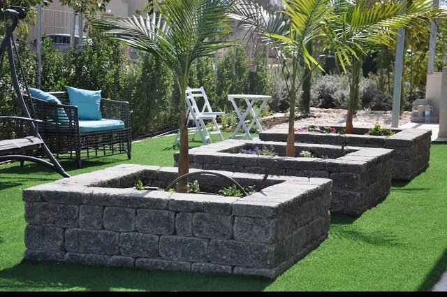 Raised planters with palms set into a lawn.